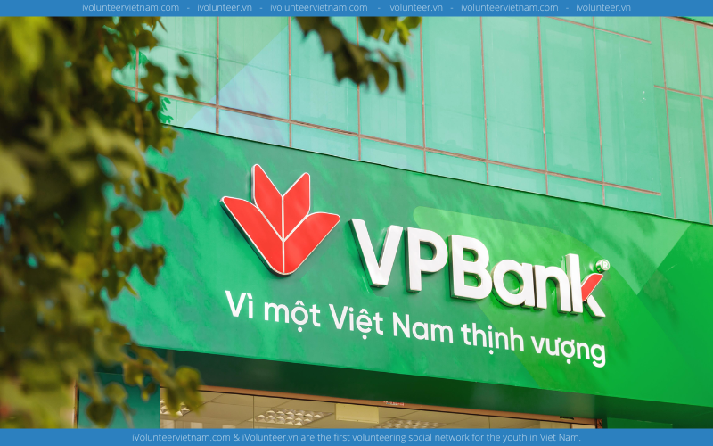 Ngân Hàng Thương Mại Cổ Phần VP Bank Tuyển Dụng Thực Tập Sinh Hỗ Trợ Tín Dụng