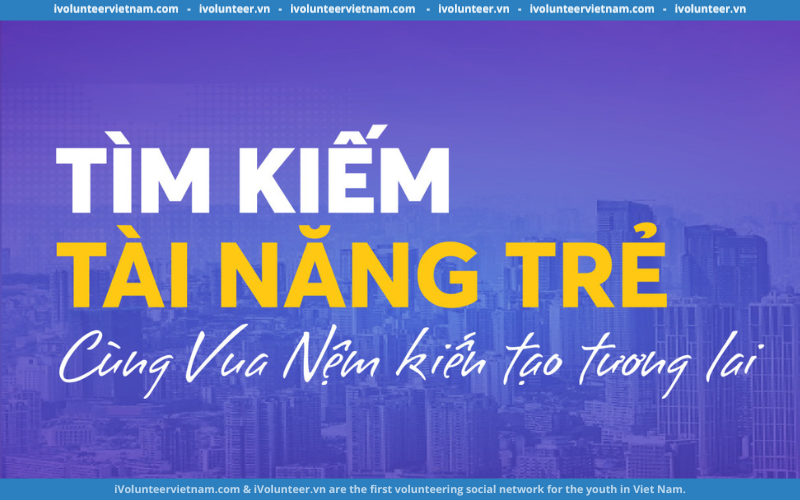 Công Ty Cổ Phần Vua Nệm Tuyển Thực Tập Sinh BOD Assistant Intern