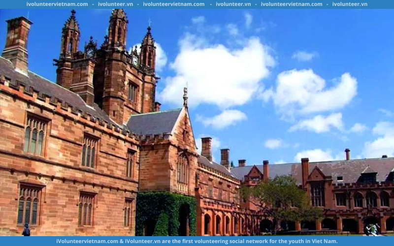 Học Bổng Bán Phần Bậc Cử Nhân Kristina Hacket Memorial Scholarship Tại Đại Học Sydney 2023