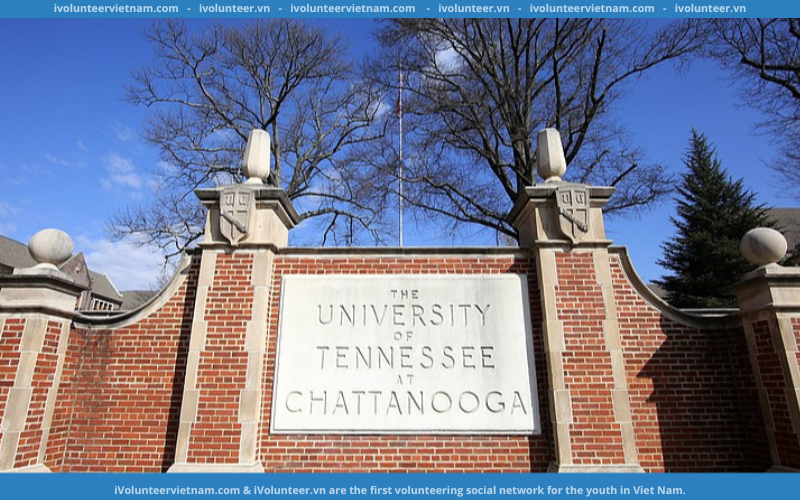 Học Bổng Bán Phần Bậc Cử Nhân Từ Trường Đại Học Tennessee At Chattanooga Tại Mỹ 2023