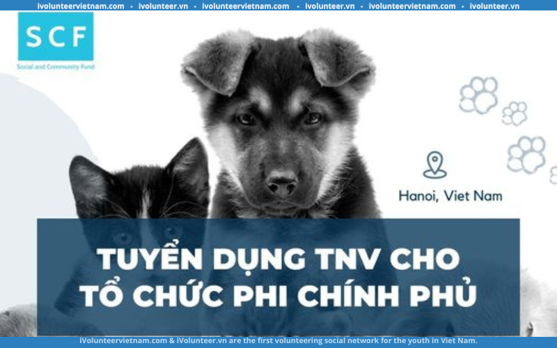 Quỹ Xã Hội Và Cộng Đồng SCF Mở Đơn Tuyển Tình Nguyện Viên