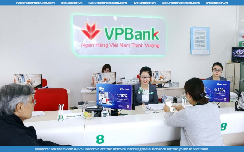 Ngân Hàng Thương Mại Cổ Phần Việt Nam Thịnh Vượng VPBank Tuyển Dụng Thực Tập Sinh Khối Vận Hành Phòng Thực Địa Miền Bắc