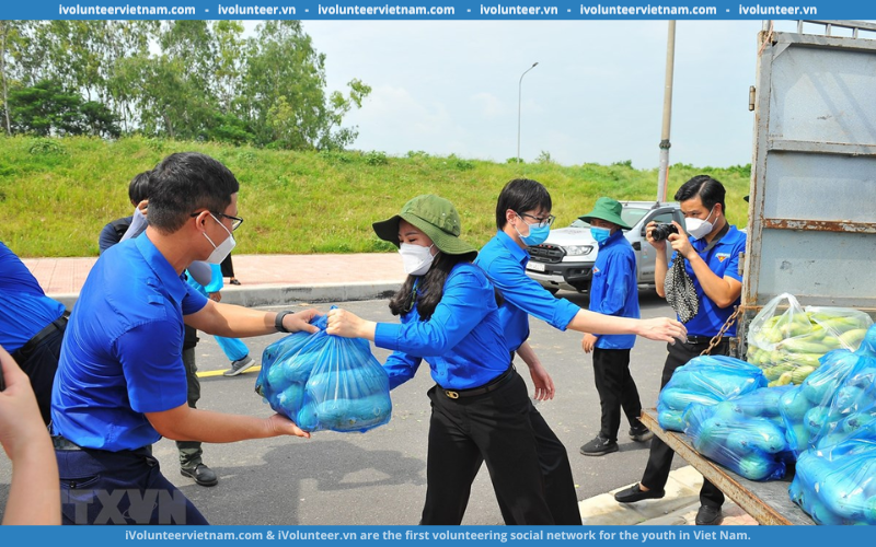 Câu Lạc Bộ Tình Nguyện Viên Thủ Đô Tuyển Bổ Sung Cộng Tác Viên Nhân Lễ Kỷ Niệm 10 Năm