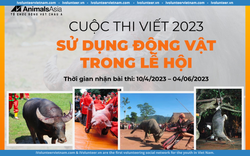 Cuộc Thi Viết Cảm Nhận Về Việc “Sử Dụng Động Vật Trong Lễ Hội” 2023