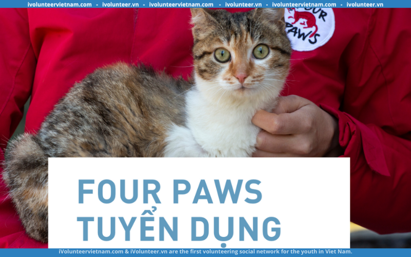 Tổ Chức Phúc Lợi Động Vật Toàn Cầu FOUR PAWS Tuyển Cán Bộ Giáo Dục Và Truyền Thông 2023