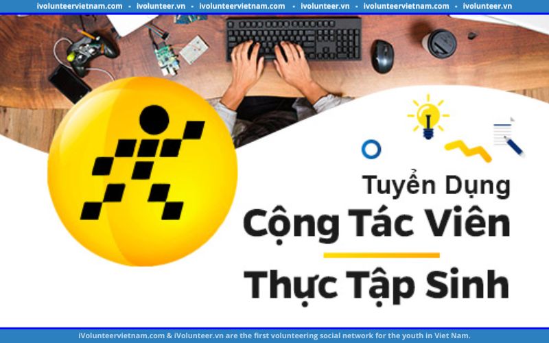 Tập Đoàn Thế Giới Di Động Tuyển Dụng Thực Tập Sinh Content SEO Part-time/Fulltime Trực Tuyến 2023