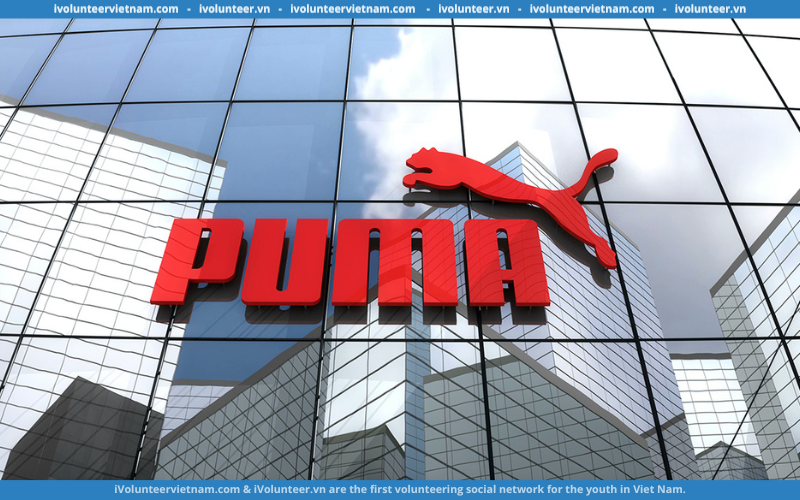 Tập Đoàn Thời Trang Puma Tuyển Dụng Thực Tập Sinh Product Line Sportstyle Footwear Full-time 2023