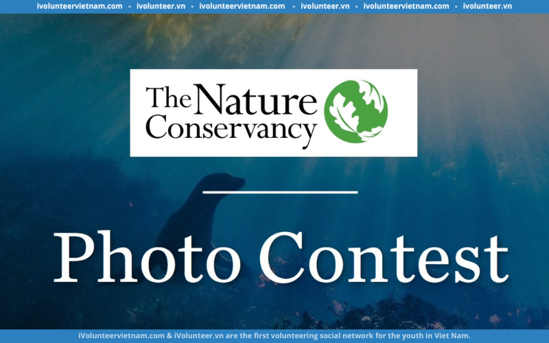 Cuộc Thi Nhiếp Ảnh Quốc Tế “The Nature Conservancy: 2023 Global Photo Contest”