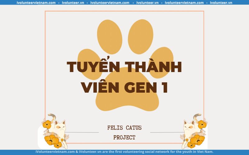 Dự Án Felis Catus Tuyển Dụng Thành Viên Thế Hệ 1