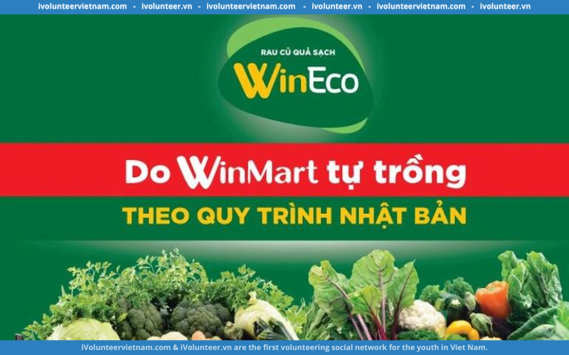 Doanh Nghiệp WinCommerce Tuyển Nhân Viên Kỹ Thuật Sản Xuất Làm Việc Trực Tiếp Tại Nông Trại