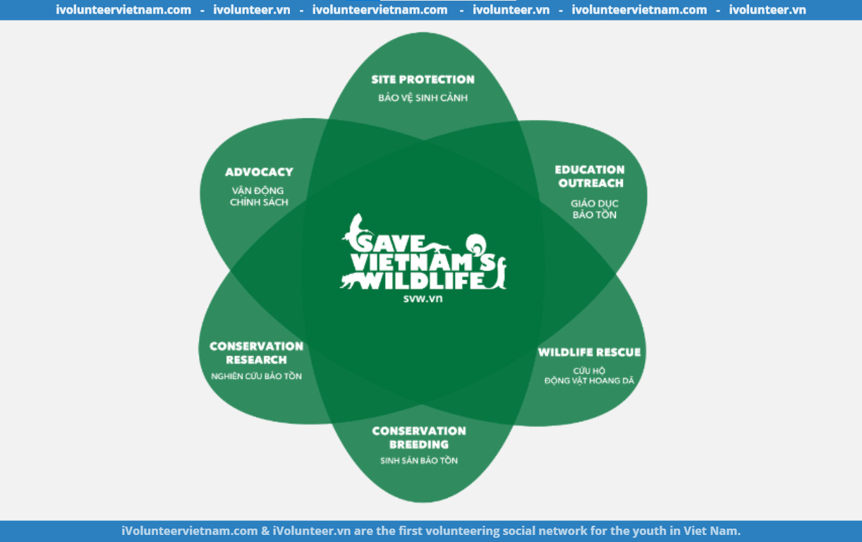 Trung Tâm Bảo Tồn Động Vật Hoang Dã Tại Việt Nam – Save Vietnam Wildlife (SVW) Tuyển Dụng Trợ Lý Giám Đốc