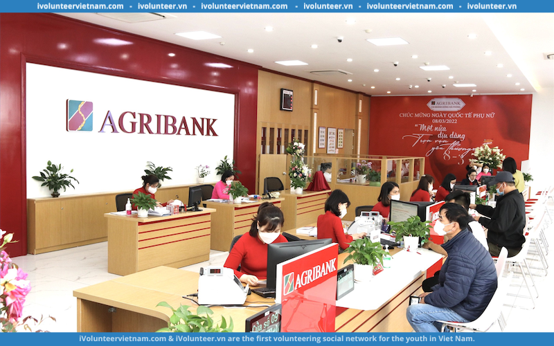 Ngân Hàng Agribank Tuyển Dụng Nhiều Vị Trí Đợt 2 Năm 2023