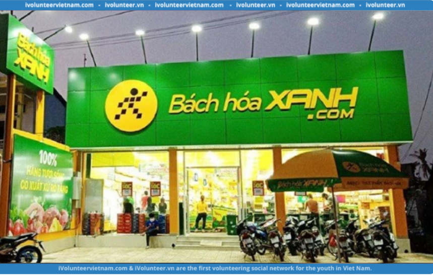 Bách Hóa Xanh Tuyển Dụng Nhân Viên Thu Ngân Siêu Thị