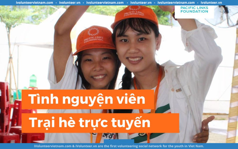 Cơ Hội Trở Thành Tình Nguyện Viên Trại Hè Kết Nối 2024 Tổ Chức Bởi Pacific Links Foundation