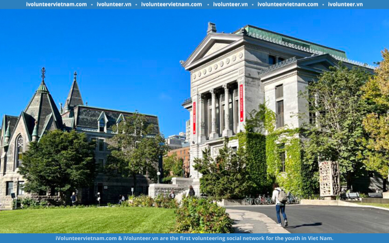 Học Bổng Toàn Phần Bậc Thạc Sĩ Tại Đại Học McGill Canada