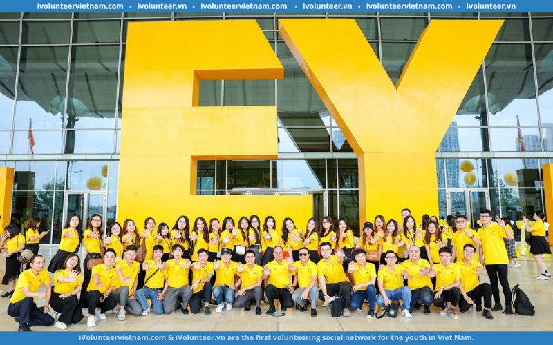 Chương Trình Internship Program 2025 Của EY Việt Nam Tuyển Dụng Thực Tập Sinh Mảng Core Assurance