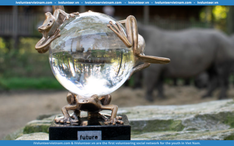 Cuộc Thi Bảo Vệ Động Vật Hoang Dã (Future For Nature Awards) 2025