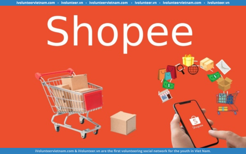 Shoppe Tuyển Dụng PMO Analyst – Business Development, Shopee Full-Time 2024