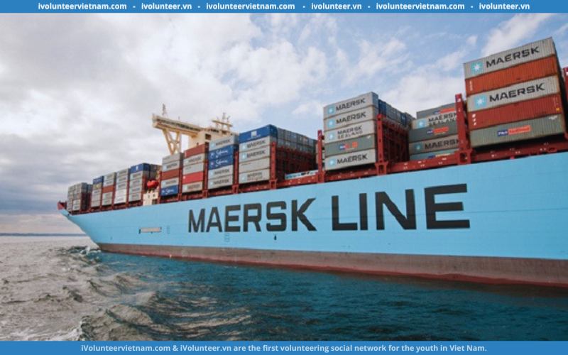 Maersk Tuyển Dụng Trưởng Nhóm Logistics – Chuyên Gia Quy Trình