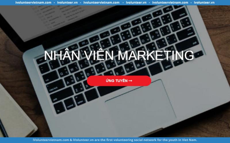 ACECOOK Việt Nam Tuyển Dụng Nhân Viên Marketing Full-Time 2024