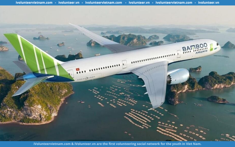 Hãng Hàng Không Bamboo Airways Tuyển Dụng Thực Tập Sinh Nhân Sự – HR Intern