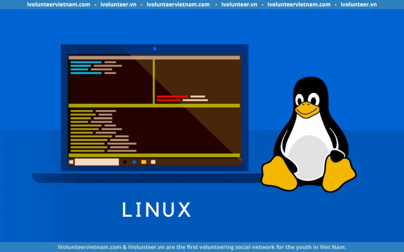 Khóa Học Về Linux Cơ Bản Cho Người Mới Bắt Đầu