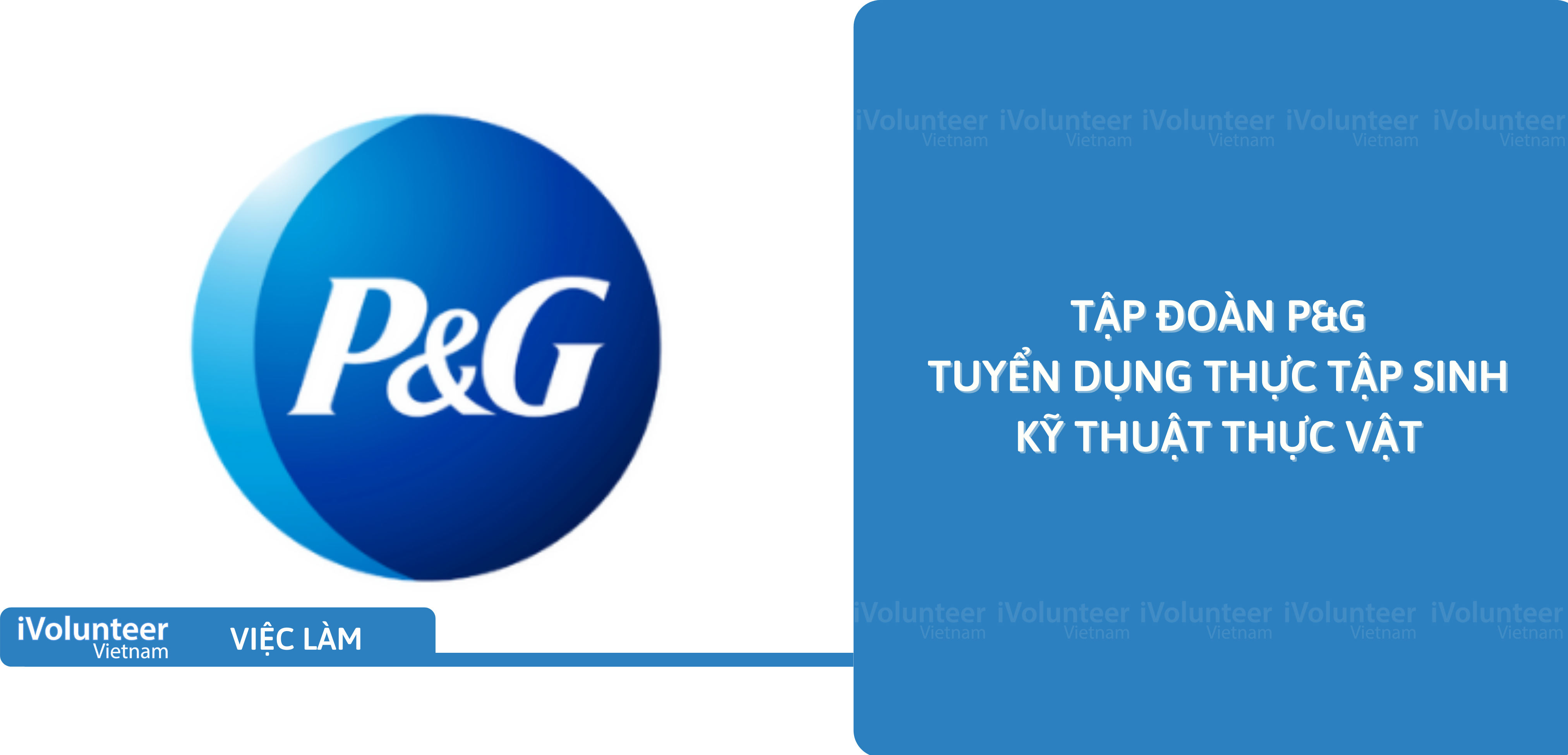 [Bình Dương] Tập Đoàn P&G Tuyển Dụng Thực Tập Sinh Kỹ Thuật Thực Vật