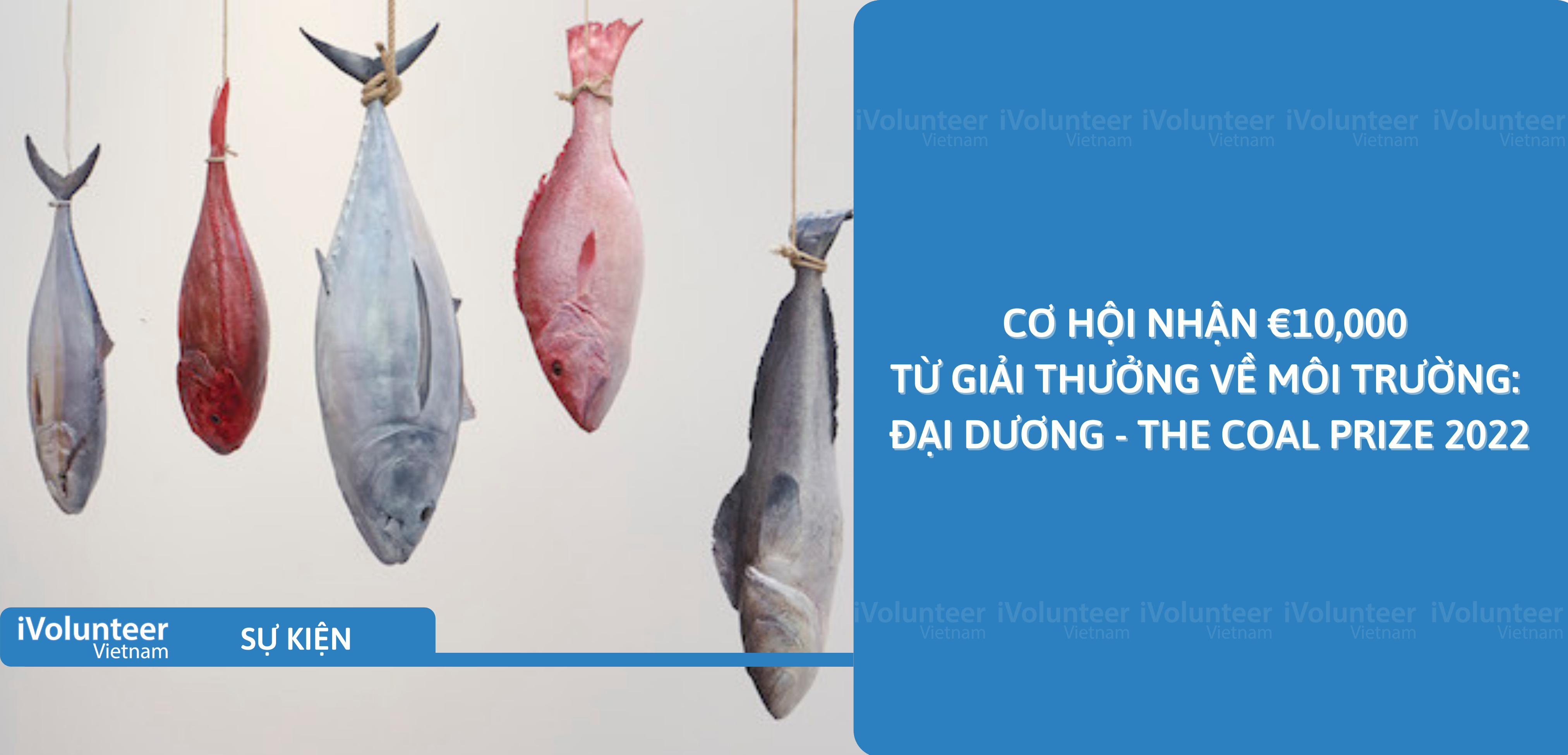 [Online] Cơ Hội Nhận €10,000 Từ Giải Thưởng Về Môi Trường: Đại Dương - The COAL Prize 2022