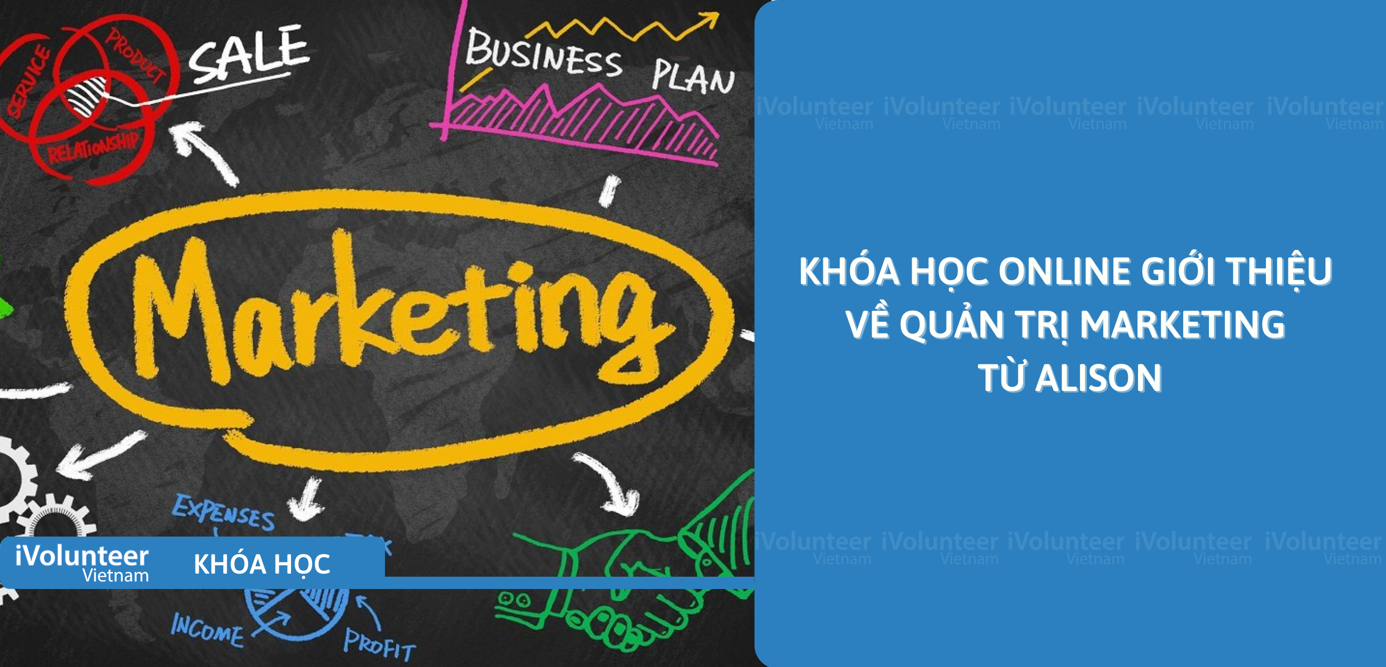 Khóa Học Online Giới Thiệu Về Quản Trị Marketing Từ Alison