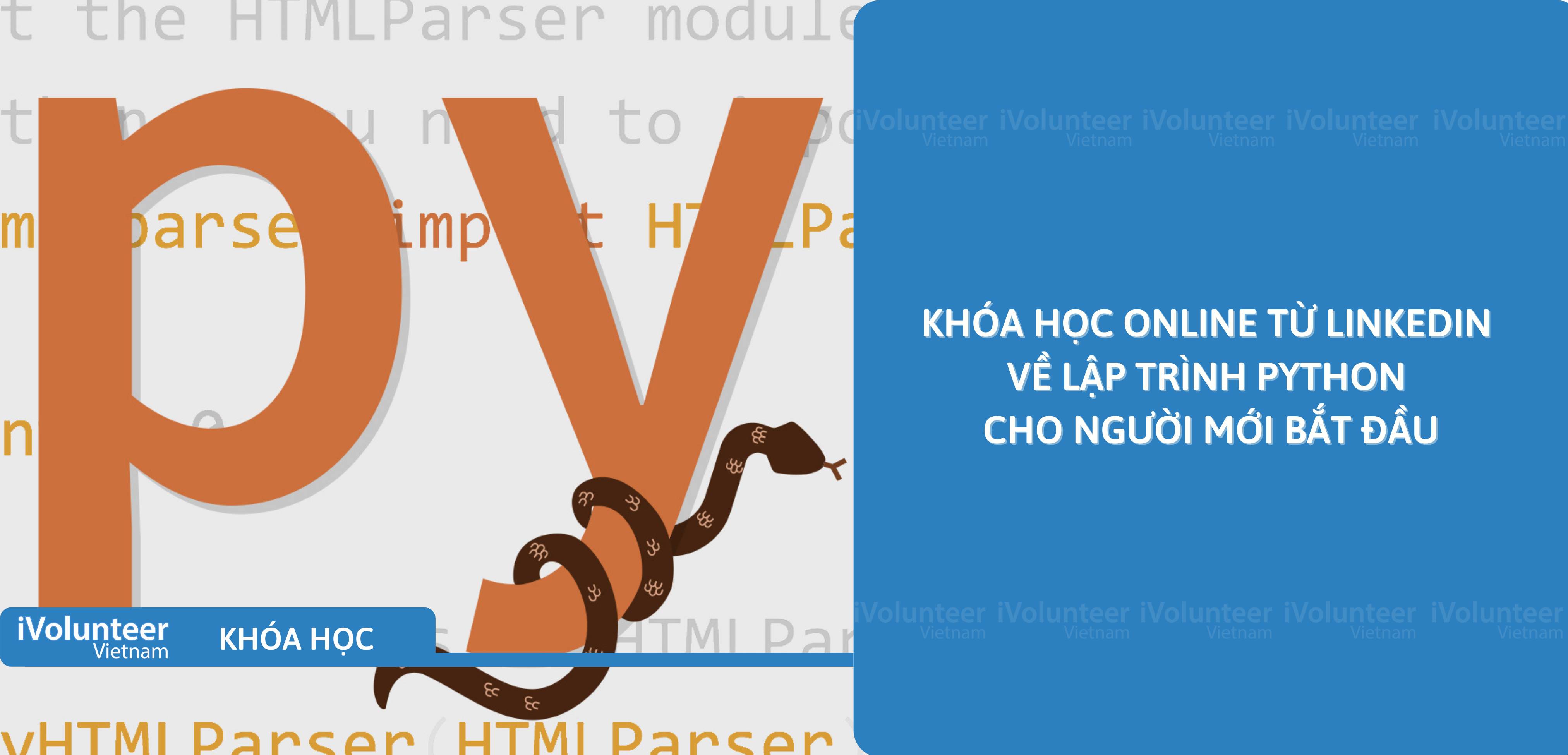 Khóa Học Online Từ LinkedIn Về Lập Trình Python Cho Người Mới Bắt Đầu