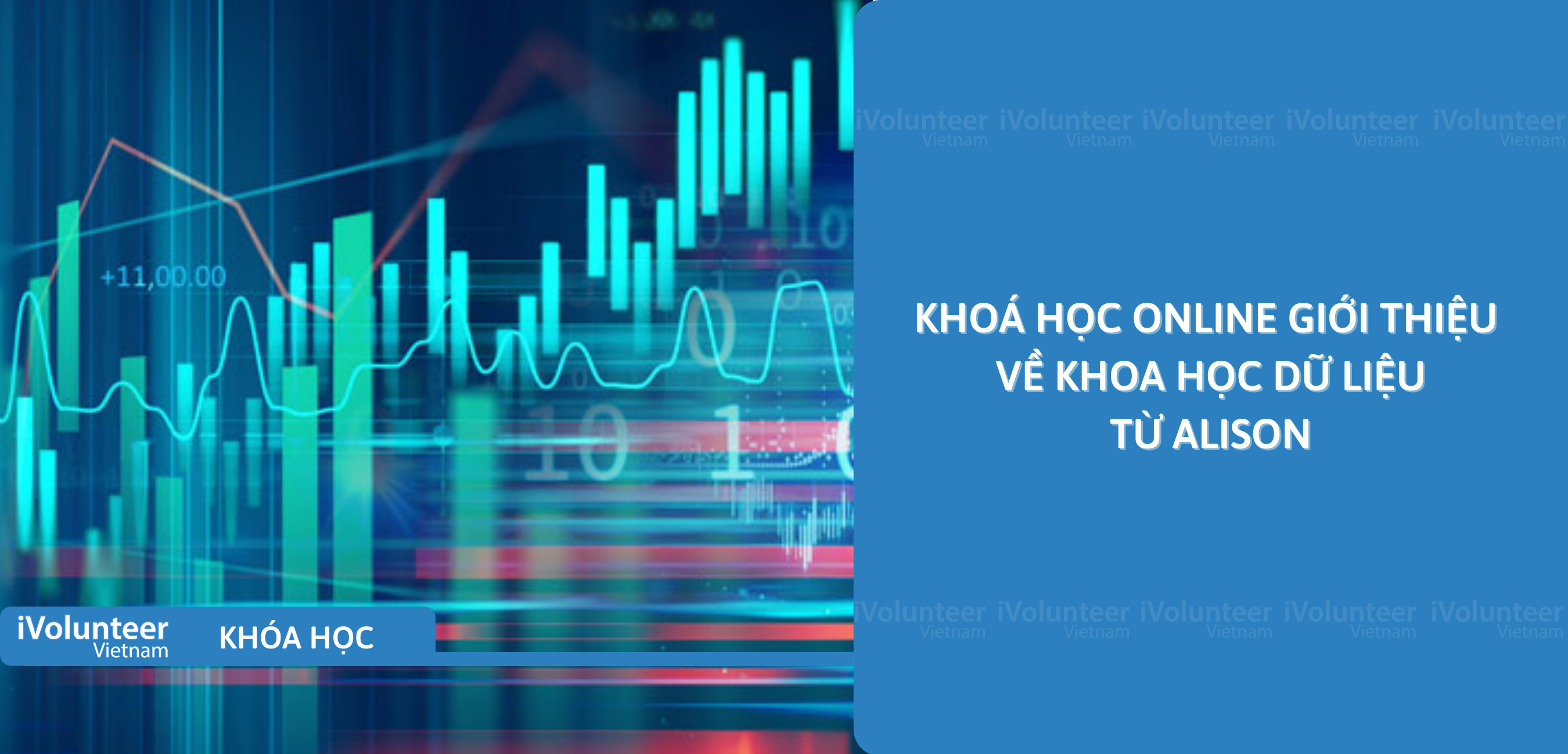 Khóa Học Online Giới Thiệu Về Khoa Học Dữ Liệu Từ Alison