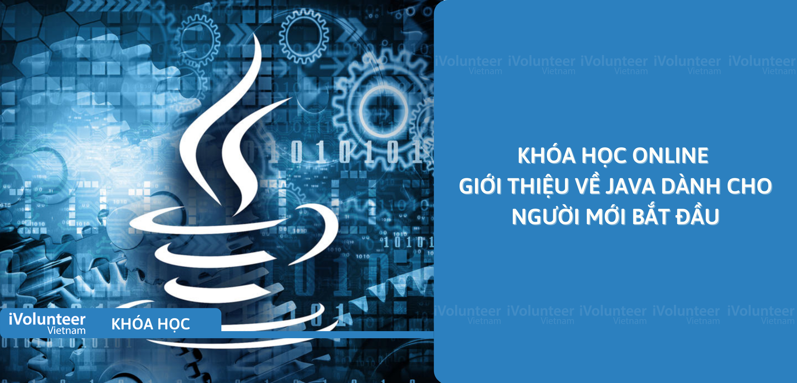 Khóa Học Online Giới Thiệu Về Java Dành Cho Người Mới Bắt Đầu