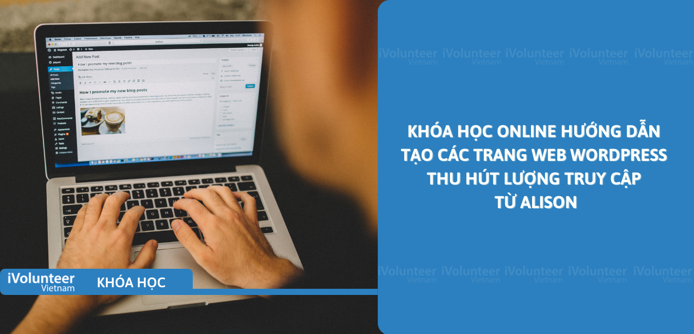 Khóa Học Online Hướng Dẫn Tạo Các Trang Web WordPress Thu Hút Lượng Truy Cập Từ Alison