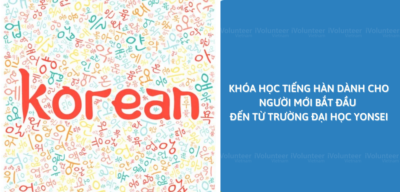 Khóa Học Tiếng Hàn Dành Cho Người Mới Bắt Đầu Đến Từ Trường Đại Học Yonsei