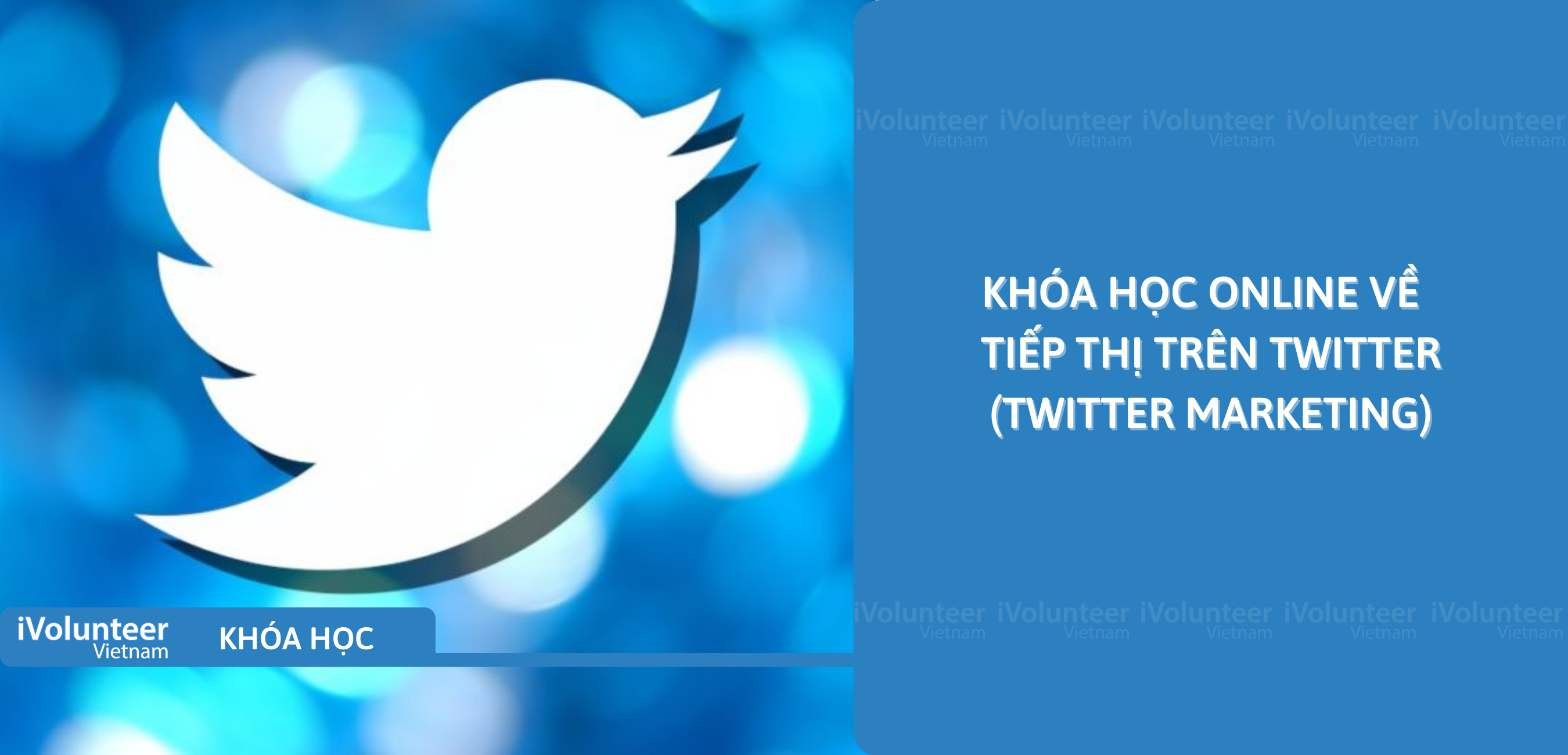 Khóa Học Online Về Tiếp Thị Trên Twitter (Twitter Marketing)