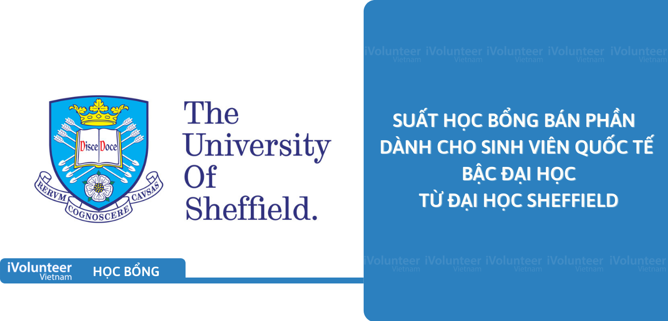 [UK] Suất Học Bổng Bán Phần Dành Cho Sinh Viên Quốc Tế Bậc Đại Học Từ Đại Học Sheffield