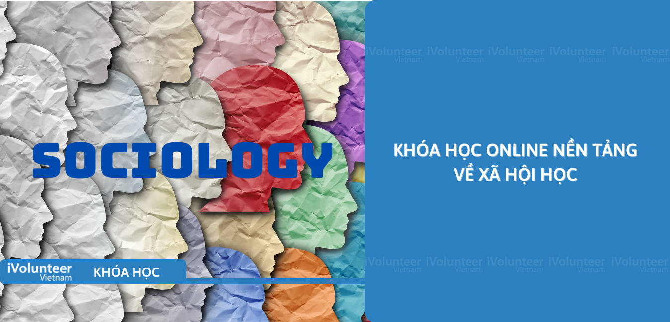 Khóa Học Online Nền Tảng Về Xã Hội Học