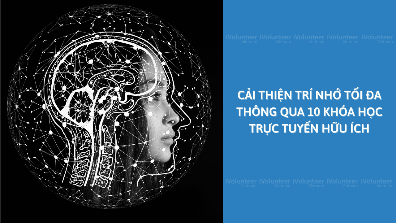 Cải Thiện Trí Nhớ Tối Đa Thông Qua 10 Khóa Học Trực Tuyến Hữu Ích