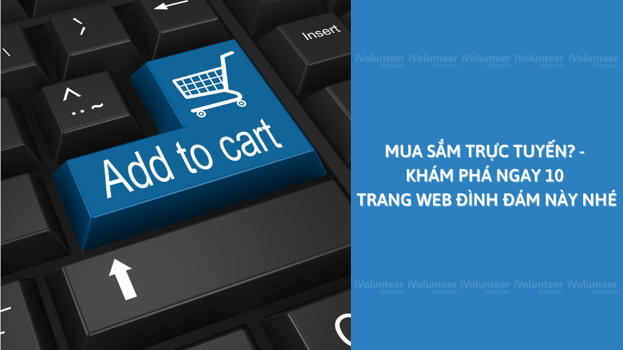 Mua Sắm Trực Tuyến? - Khám Phá Ngay 10 Trang Web Đình Đám Này Nhé