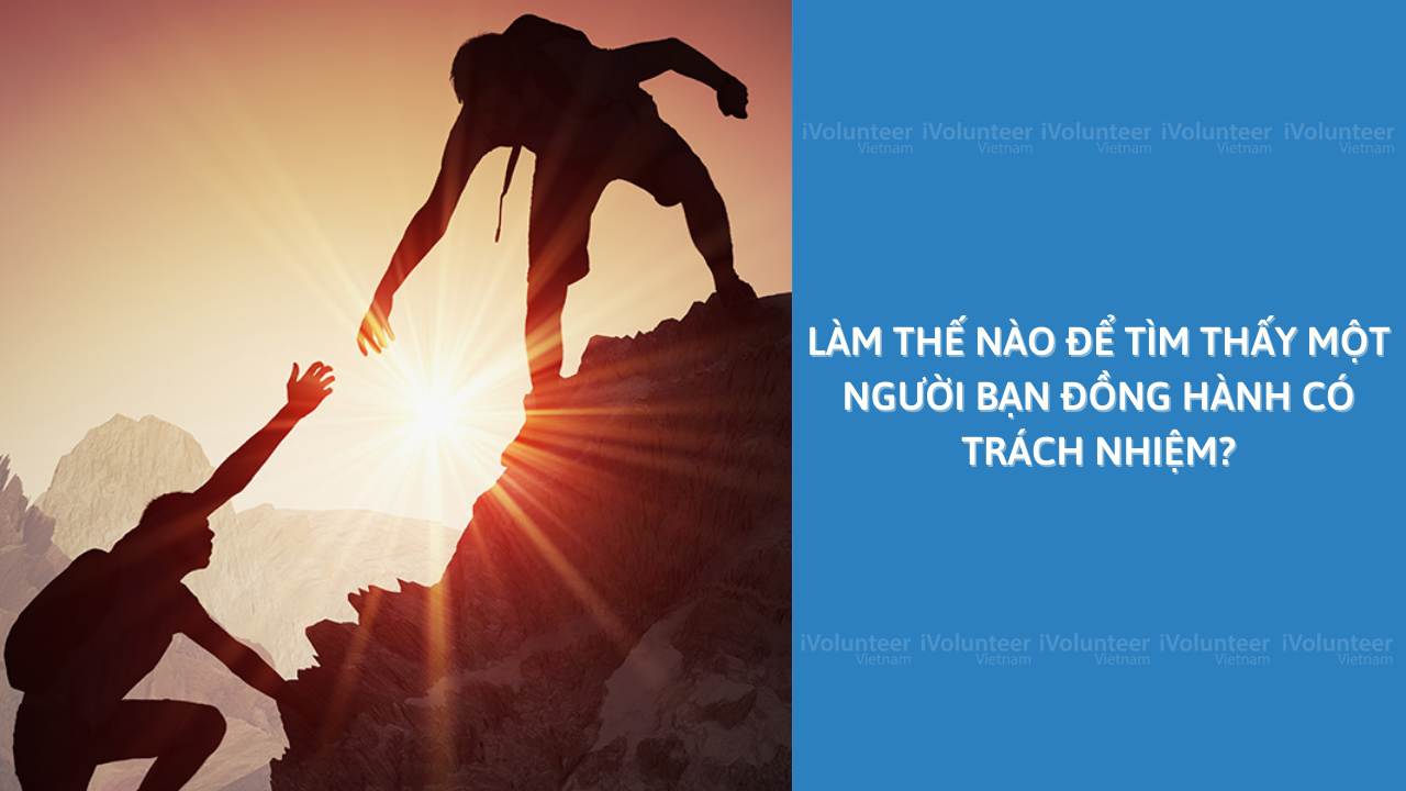 Làm Thế Nào Để Tìm Thấy Một Người Bạn Đồng Hành Có Trách Nhiệm?