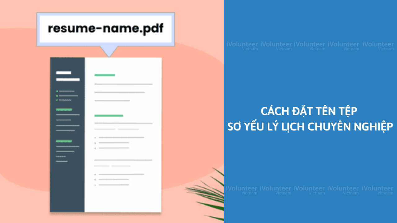 Cách Đặt Tên Tệp Sơ Yếu Lý Lịch Chuyên Nghiệp
