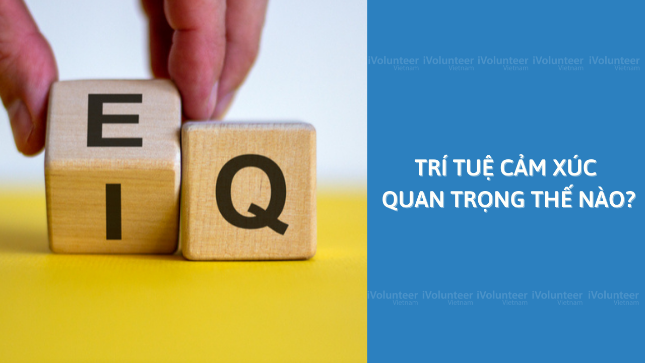 Trí Tuệ Cảm Xúc Quan Trọng Như Thế Nào?