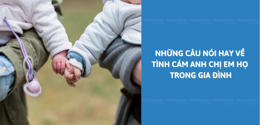 Những Câu Nói Hay Về Tình Cảm Anh Chị Em Họ Trong Gia Đình