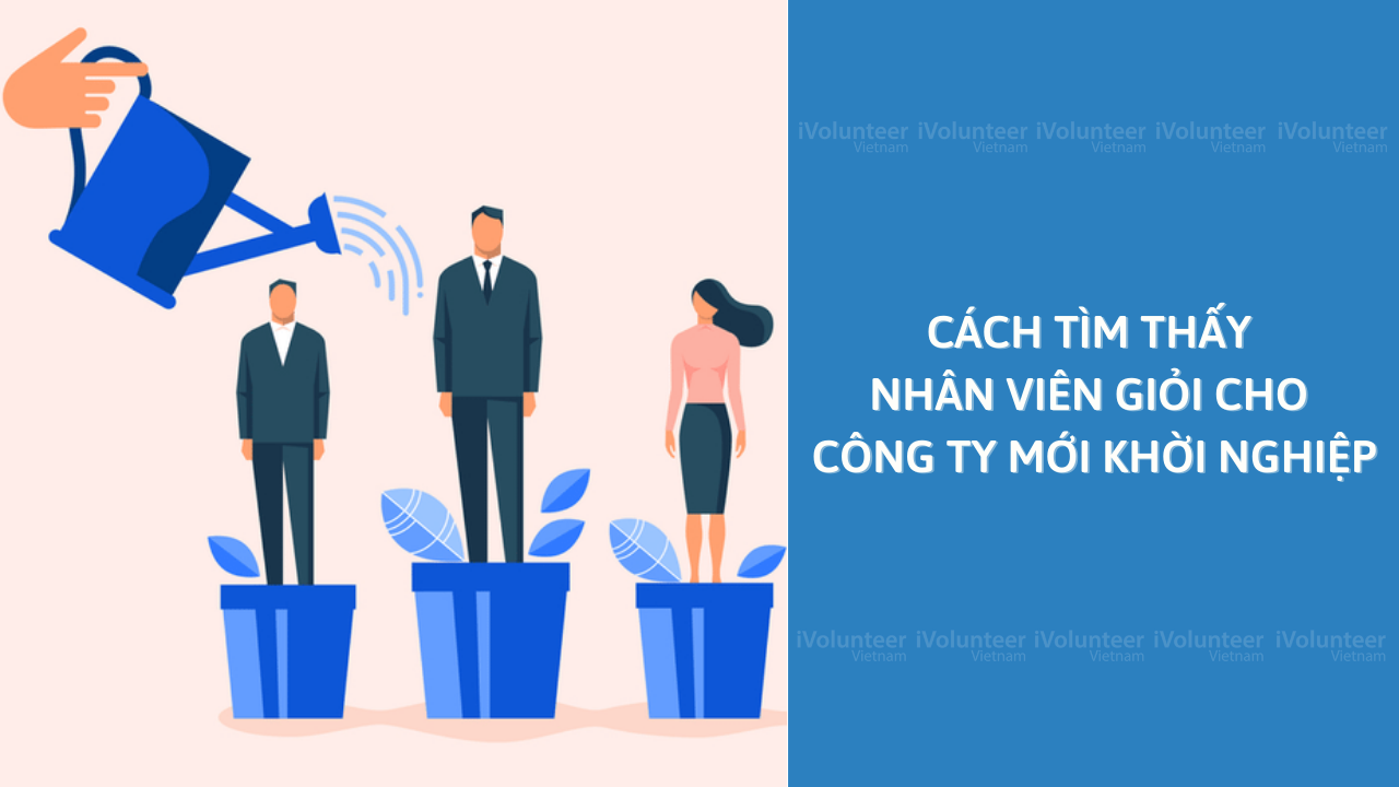 Cách Tìm Thấy Nhân Viên Giỏi Cho Công Ty Mới Khởi Nghiệp