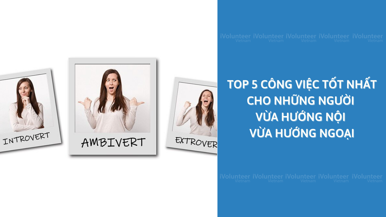 Top 5 Công Việc Phù Hợp Nhất Cho Những Người Vừa Hướng Nội Vừa Hướng Ngoại