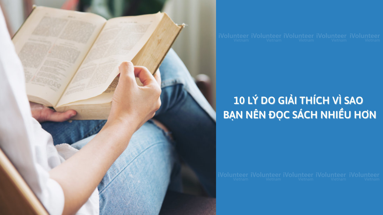 10 Lý Do Giải Thích Vì Sao Bạn Nên Đọc Sách Nhiều Hơn