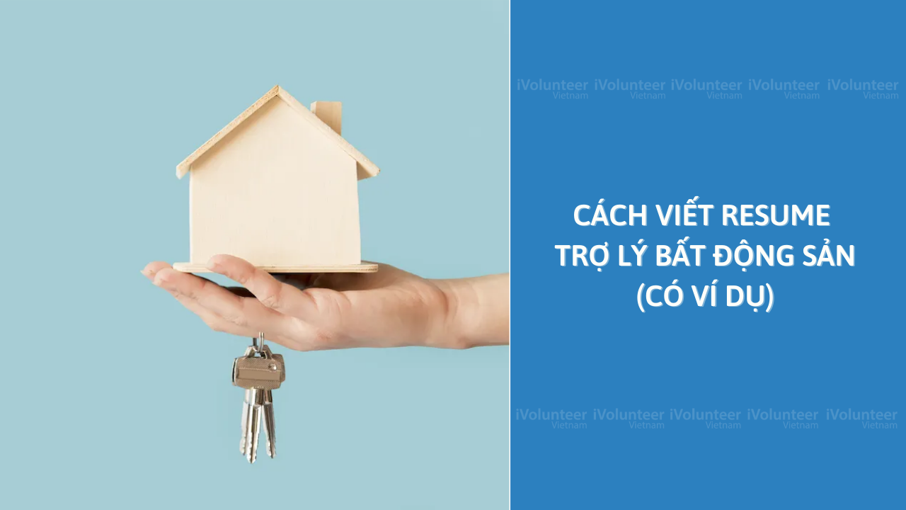 Cách Viết Resume Trợ Lý Bất Động Sản (Có Ví Dụ)