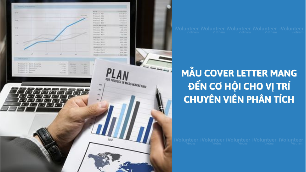 Mẫu Cover Letter Mang Đến Cơ Hội Cho Vị Trí Chuyên Viên Phân Tích