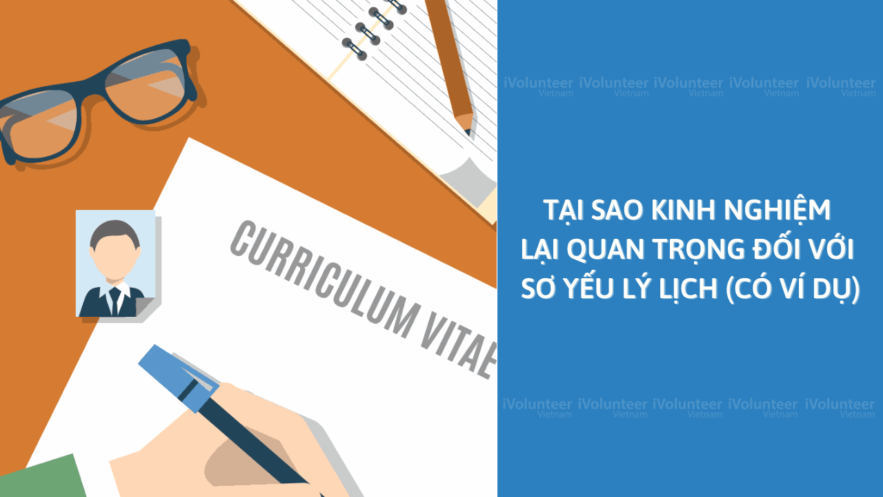 Tại Sao Kinh Nghiệm Lại Quan Trọng Đối Với Sơ Yếu Lý Lịch (Có Ví Dụ)