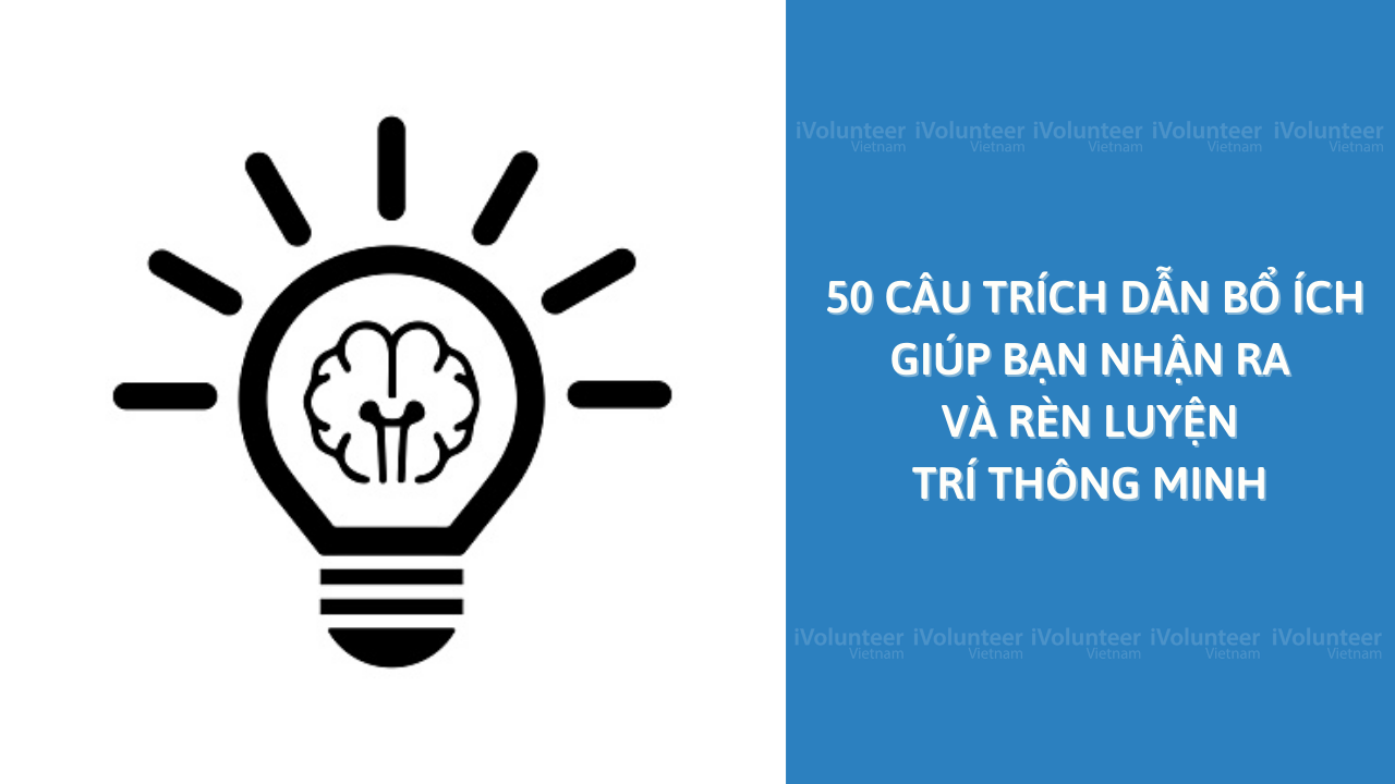 50 Câu Trích Dẫn Bổ Ích Giúp Bạn Nhận Ra Và Rèn Luyện Sự Thông Minh